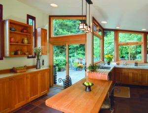 replacement windows - Renewal by Andersen