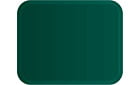 Renewal by Andersen replacement window color - Forest Green
